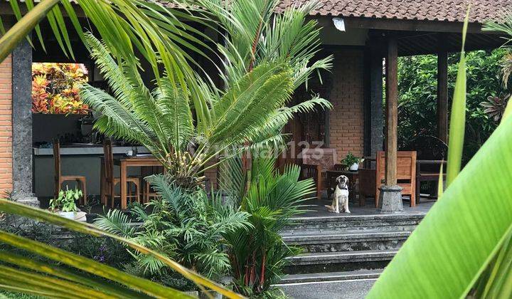 Ricefield View 2 BR Private Villa for Rent in Ubud area 1