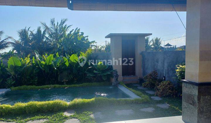 Villa with ricefield view in Sayan, near Penestanan, Ubud  1