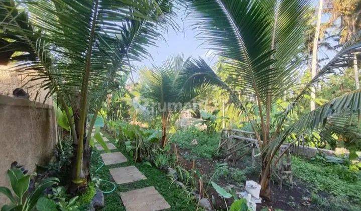 Villa with Jungle and river  view in Katiklantang near Penestanan, Ubud area
 2