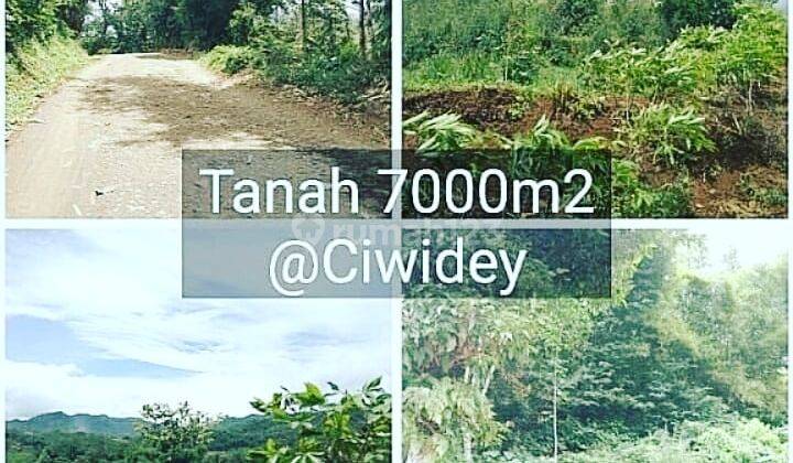 Tanah di Atas Bukit Strategis di Ranca Tengah, Ciwidey 1