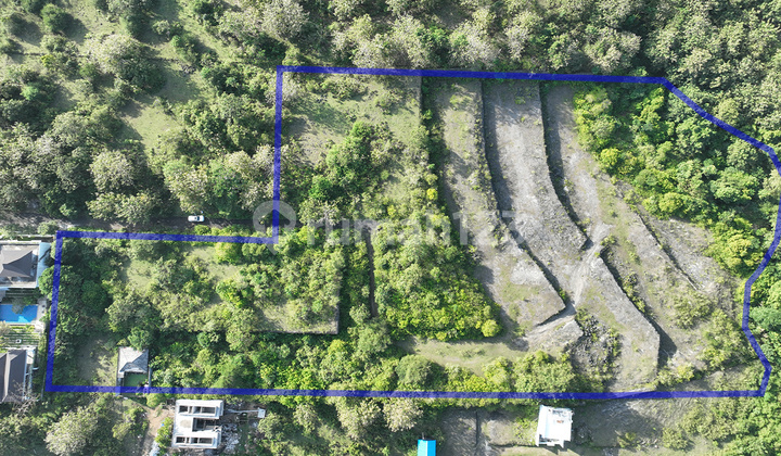 Tanah Dijual Balangan 20575 m2 Harga Termurah Tanah Dijual Balangan 20575 m2 Harga Termurah