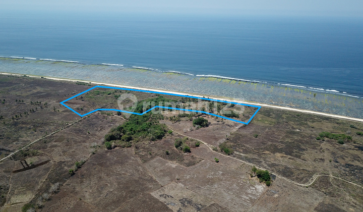 Tanah Kodi - Sumba Barat Daya 60000 m2 SHM