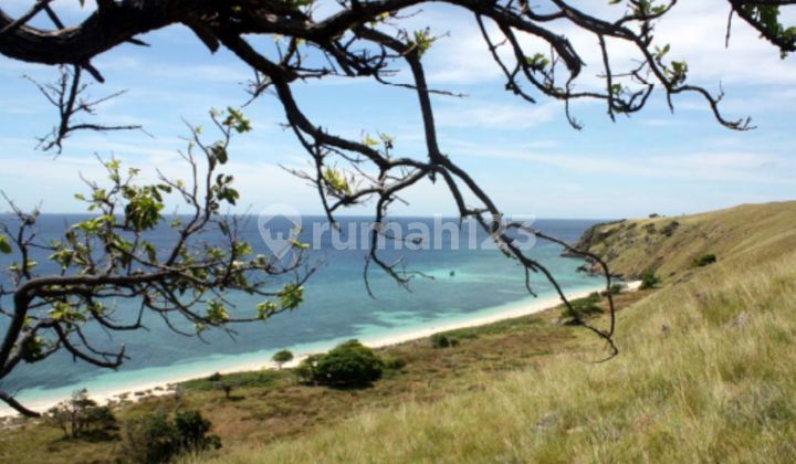 Labuan Bajo, Seraya Besar Island 400000 m2 Labuan Bajo, Seraya Besar Island 400000 m2