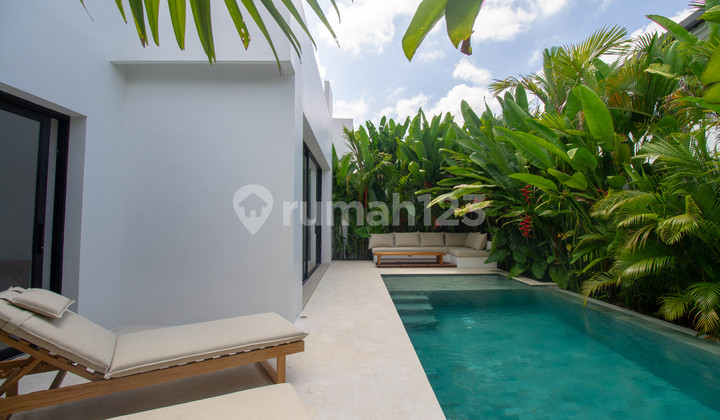 For Sale Modern 3 Bedroom Villa Babakan - Canggu