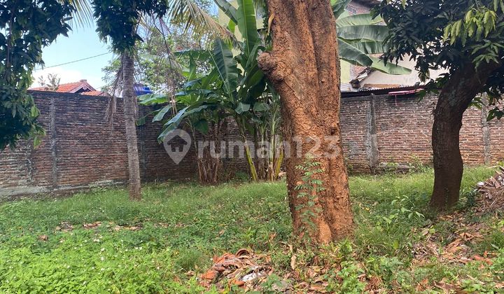 Rumah Halaman Luas Sangat Terawat Daerah Kost Undip Sumurboto 2