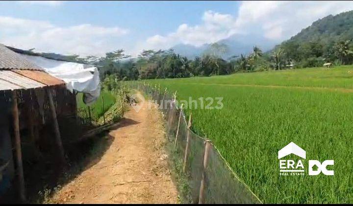 Tanah Sawah Luas Ada Pemandangan Gunung Lebah Boja Kendal 2