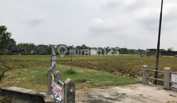 Tanah Cocok Untuk Hotel Ada 3 Titik Sumur di Gajah Mada Grobogan