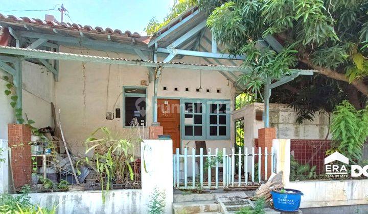 Tanah Bonus Bangunan Dekat Pelabuhan Tanah Mas Semarang Utara 1