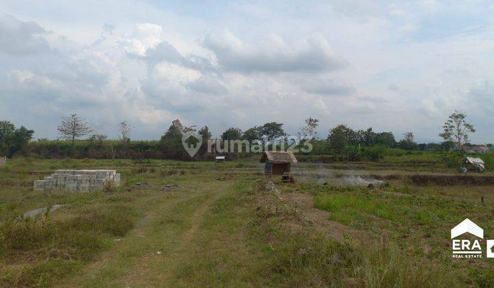 Tanah Perumahan Siap Bangun Dekat Univ Muria Kudus Bae Kudus 1