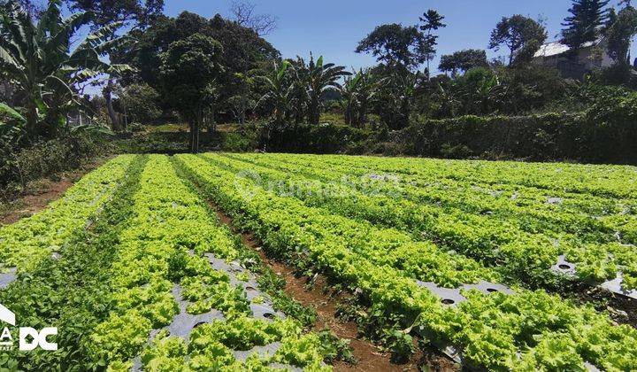 Tanah Kavling View Gunung Dekat Polsek Bandungan Kab Semarang 1