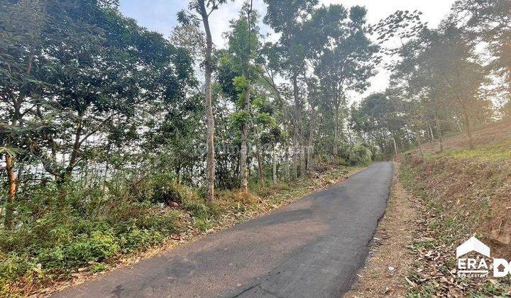 Tanah Luas View Gunung Ada Sumber Mata Air Siwarak Semarang 1