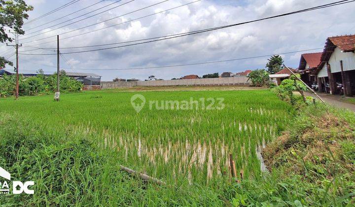 Tanah Luas Cocok Untuk Dibangun Gudang Dan Usaha Kaliwungu Kudus 1