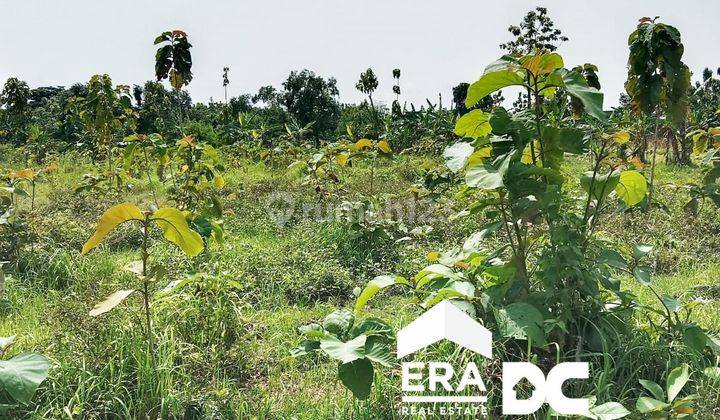 Tanah Siap Bangun Cocok Untuk Industri di Kedungtuban Blora 1