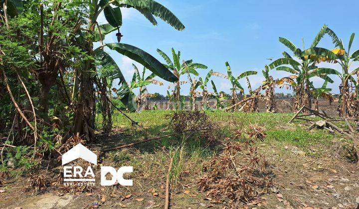 Tanah Siap Bangun di Karanganyar Demak Area Sekolah 2