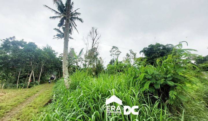 Tanah Cocok Untuk Villa View Gunung di Getasan Kopeng Salatiga 2