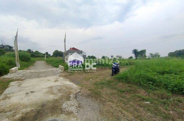 Tanah Kavling Datar Bentuk Persegi di Sendangmulyo Tembalang 2