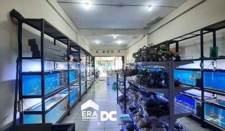 Ruko Beserta Usaha Ikan Hias Area Ramai Medoho Gayamsari Semarang 1