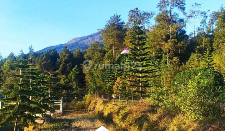 Tanah Cocok Untuk Wisata Udara Sejuk Lereng Gunung Batur Getasan 1