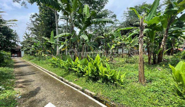 Tanah 6.000 m² Cocok Untuk Perumahan Dekat Hotel 168 Banyuputih 1