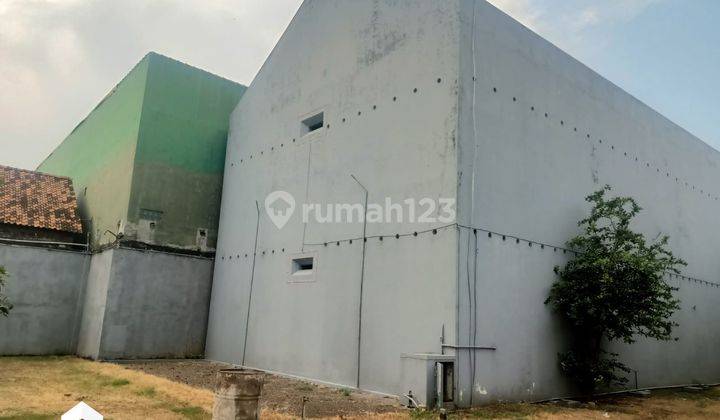 Tanah Bonus Rumah Walet Besar di Tanjung Pucang Kerep Kudus 2