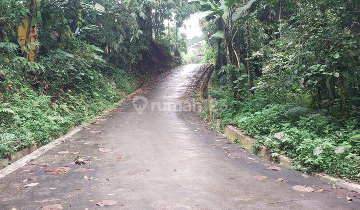 Tanah Perkebunan Luas 12.000 m² Sangat Asri Cangkiran Mijen 2