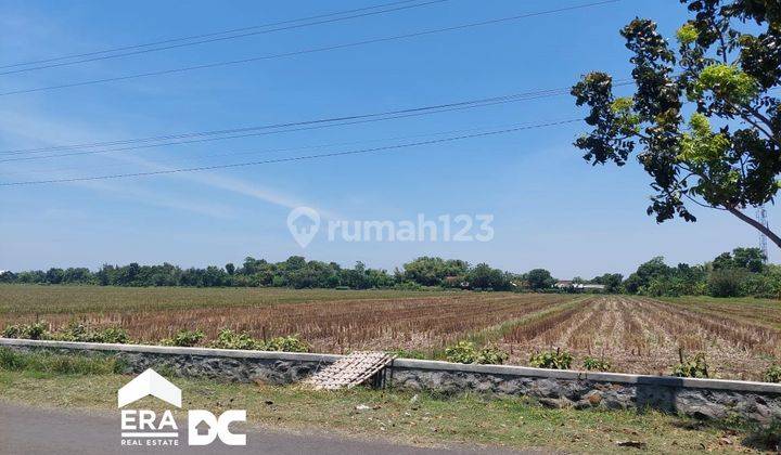 Tanah Sawah Pinggir Jalan Damarsari Cepiring Kendal 1