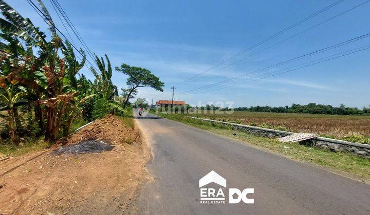 Tanah Sawah Pinggir Jalan Damarsari Cepiring Kendal 2