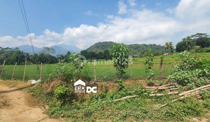 Tanah Sawah Luas Ada Pemandangan Gunung Lebah Boja Kendal 1