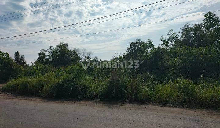 Tanah Luas Kawasan Pergudangan Banjar Baru Kalimantan Selatan 2