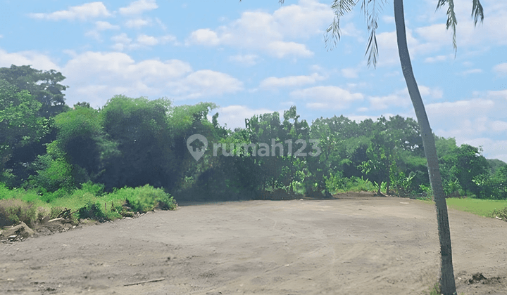 Tanah Rata Zona Industri Siap Bangun di Karangwuni Ceper Klaten 2