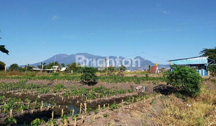 TANAH KAVLING JEJER POROS JALAN UTAMA AREA TASIKMADU 2