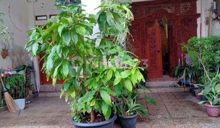 Dijual Rumah Kokoh Bangunan 3 Lantai Di Kayuringin Bekasi 