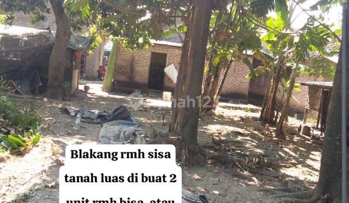 Rumah Kampung Bagus Dengan Tanah Cukup Luas Dijual Murah 2