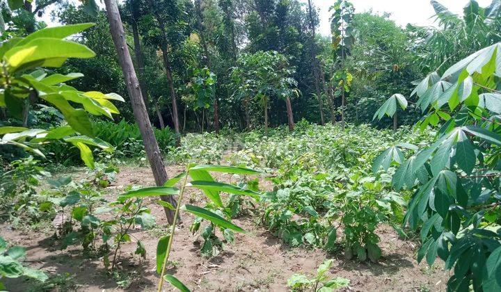 Tanah di Jetis  Mojokerto 10 hektar, SHM,  plot untuk Industri, Perumahan  dijual murah 3