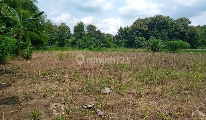 Tanah di Jetis  Mojokerto 10 hektar, SHM,  plot untuk Industri, Perumahan  dijual murah 4
