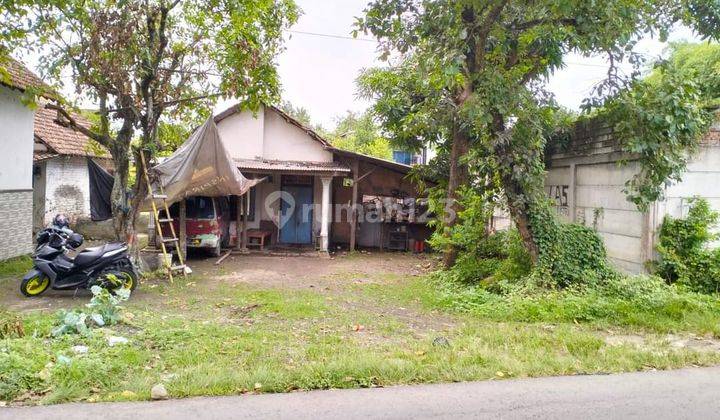 Dijual murah  tanah nol jalan di Ry. Sukodono, 1530 m2. Cocok untuk usaha 1