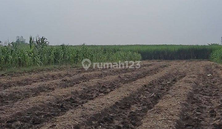 Tanah Plot Industri 10 hektar, perluasan sampai 35 hektar dijual di Kabupaten Mojokerto  2