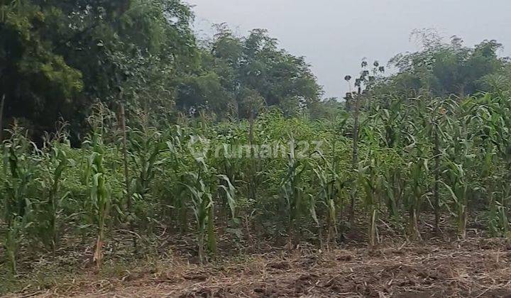 Tanah Plot Industri 10 hektar, perluasan sampai 35 hektar dijual di Kabupaten Mojokerto  3