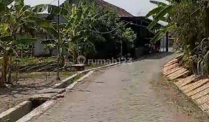 Rumah Bagus Di Kampung Dijual, Cocok Untuk Investasi 2