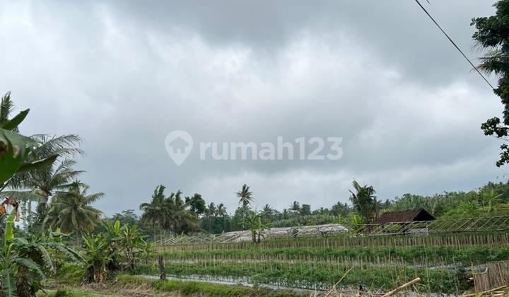 Agricultural land for sale in Kaliurang, Sleman, Yogyakarta.