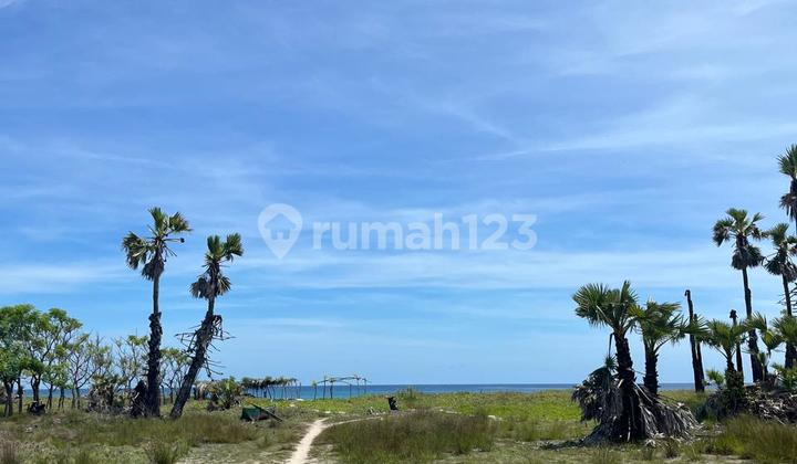 Beach Front Land - Strategic Location East Sumba Beach Front Land - Strategic Location East Sumba