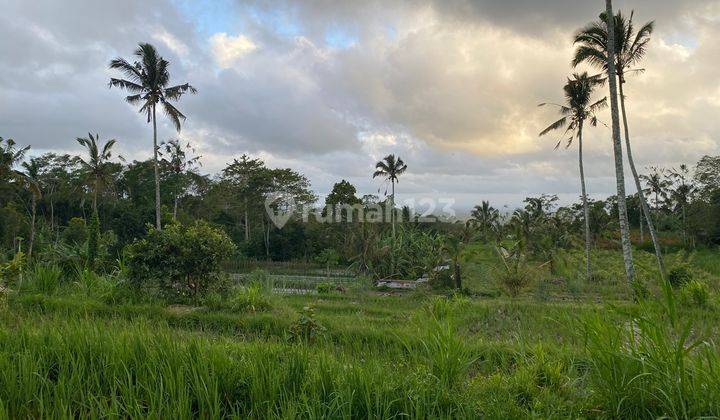 Lfh pla 027 id. Freehold Land With Stunning View Located In Plaga 1