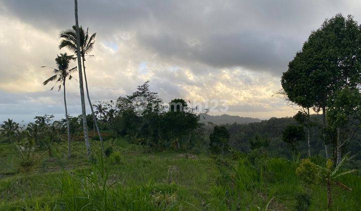 Lfh pla 027 id. Freehold Land With Stunning View Located In Plaga 2