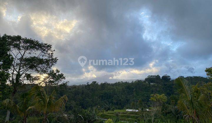 Lfh pla 027 id. Freehold Land With Stunning View Located In Plaga 3