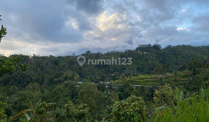 Lfh pla 027 id. Freehold Land With Stunning View Located In Plaga 4