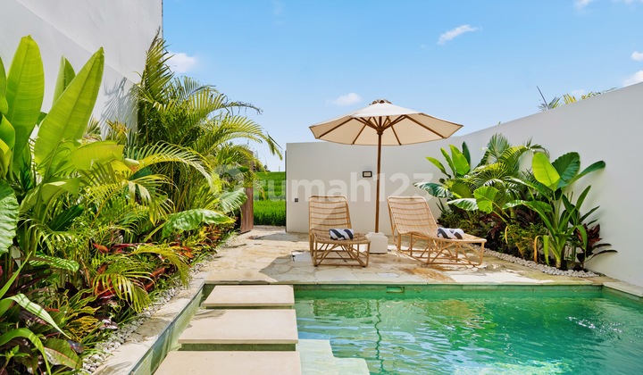 Rental monthly villa 1 kamar dengan pemandangan sawah di canggu