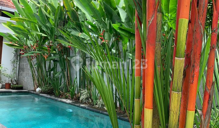 3 Bedroom Open Sublease In Cemagi Pet-Friendly Villa With Garden Near Beach 2