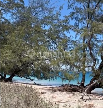 Beach Front Land - Strategic Location East Sumba Beach Front Land - Strategic Location East Sumba