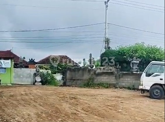 Strategic Land for Sale, 7 Are, Sangsit Buleleng, North Bali Location Strategic Land for Sale, 7 Are, Sangsit Buleleng, North Bali Location