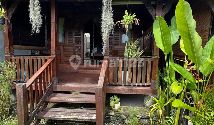 Joglo Villa With Rice Field View - Pet Friendly In Cemagi 2